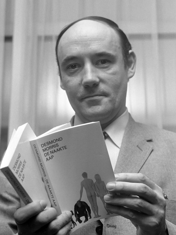 Retrato de Desmond Morris